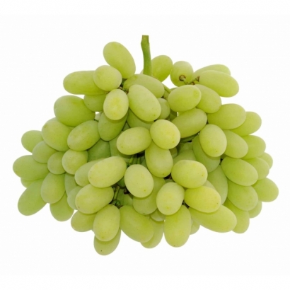 Pristine-Blanc-Green-Seedless-Grapes-e1430738408842.jpg